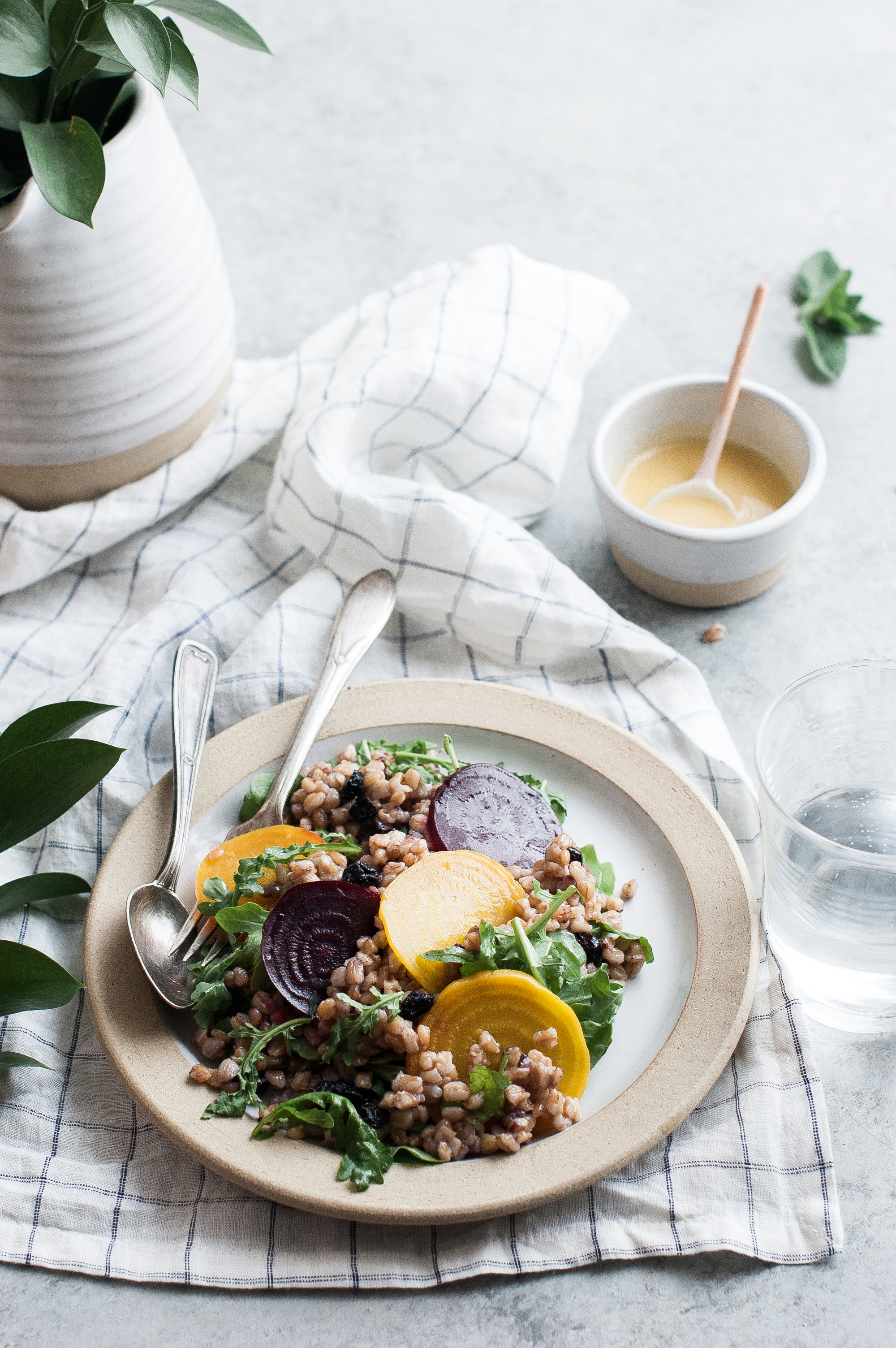 https://www.thekitchenmccabe.com/wp-content/uploads/2016/06/Farro-Salad-with-Beets-Blueberries-2.jpg